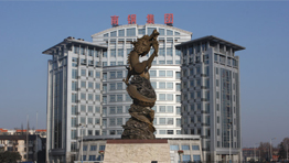 南京鋼鐵集團(tuán)有限公司
